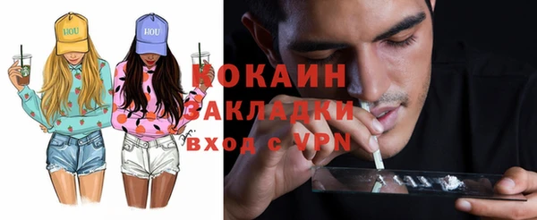 шишки Балабаново