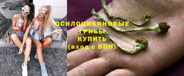 шишки Балабаново