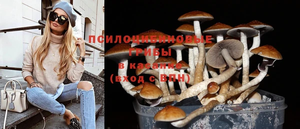 2c-b Баксан